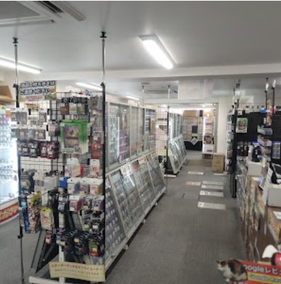 竜星の嵐 新宿店：店舗内
